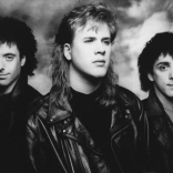 the_jeff_healey_band