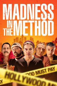 madness_in_the_method