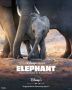 Soundtrack Elephant