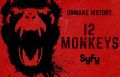 Soundtrack 12 małp