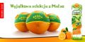 Soundtrack Tymbark - Najlepsze pomarańcze z brazylijskiego Matao