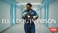 Soundtrack Eli: A Dog in Prison