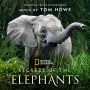 Soundtrack Secrets of the Elephants