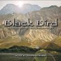 Soundtrack Black Bird