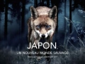 Soundtrack Japon, un nouveau monde sauvage