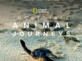 Soundtrack Incredible Animal Journeys
