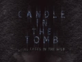 Soundtrack Candle in the Tomb: Weird Cases in the Wild