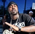 youngbuck