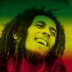 reggae128