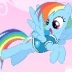 rainbowdashxd