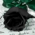 black1rose