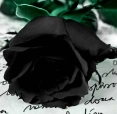 BlackDay