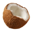 CoconutNut