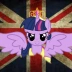 unitedtwilight