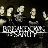 breakdown_of_sanity