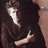 don_henley