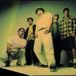 infectious_grooves