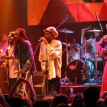 israel_vibration