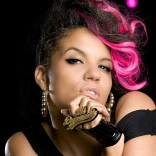 ms__dynamite