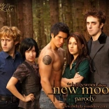 the_hillywood_show