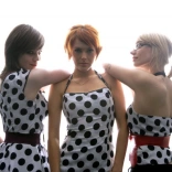 the_pipettes