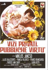 vizi_privati__pubbliche_virt_