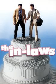 the_in_laws