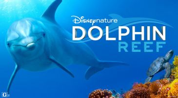 dolphin_reef