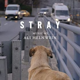 stray