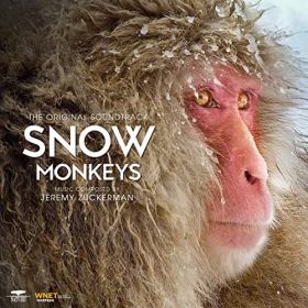 snow_monkeys