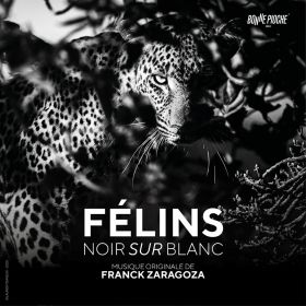 f_lins_noir_sur_blanc