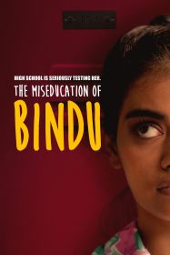the_miseducation_of_bindu