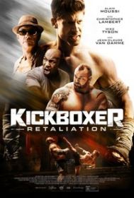 kickboxer__odwet