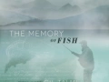 Soundtrack The Memory of Fish