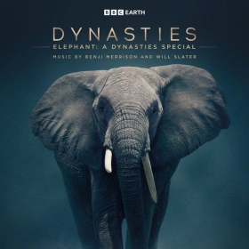 elephant__a_dynasties_special