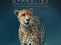 Soundtrack Cheetah: A Dynasties Special