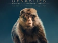 Soundtrack Macaque: A Dynasties Special