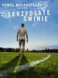 skrzydlate_swinie