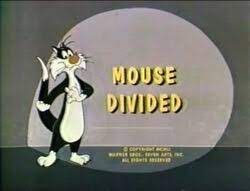 a_mouse_divided