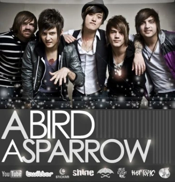 a_bird_a_sparrow