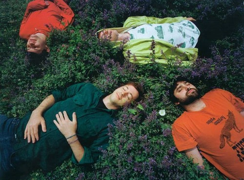 animal_collective