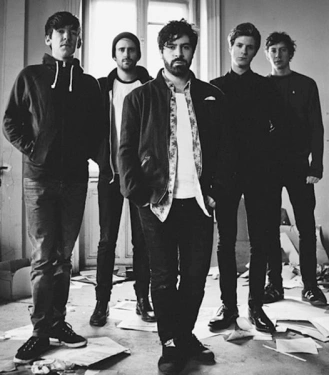 foals