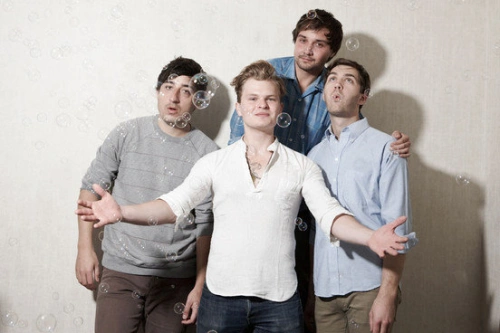 grizzly_bear