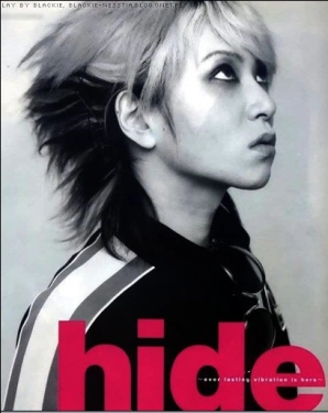 hide