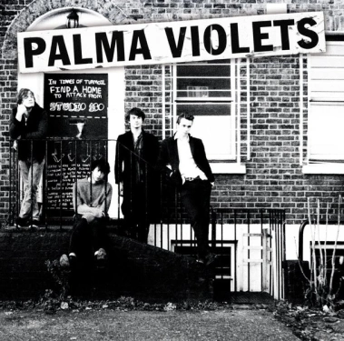 palma_violets