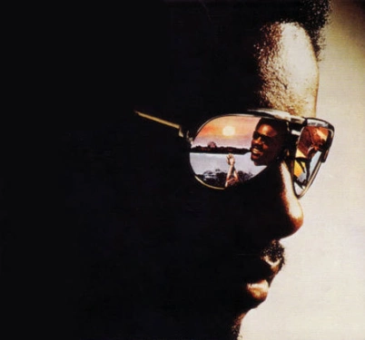 stevie_wonder